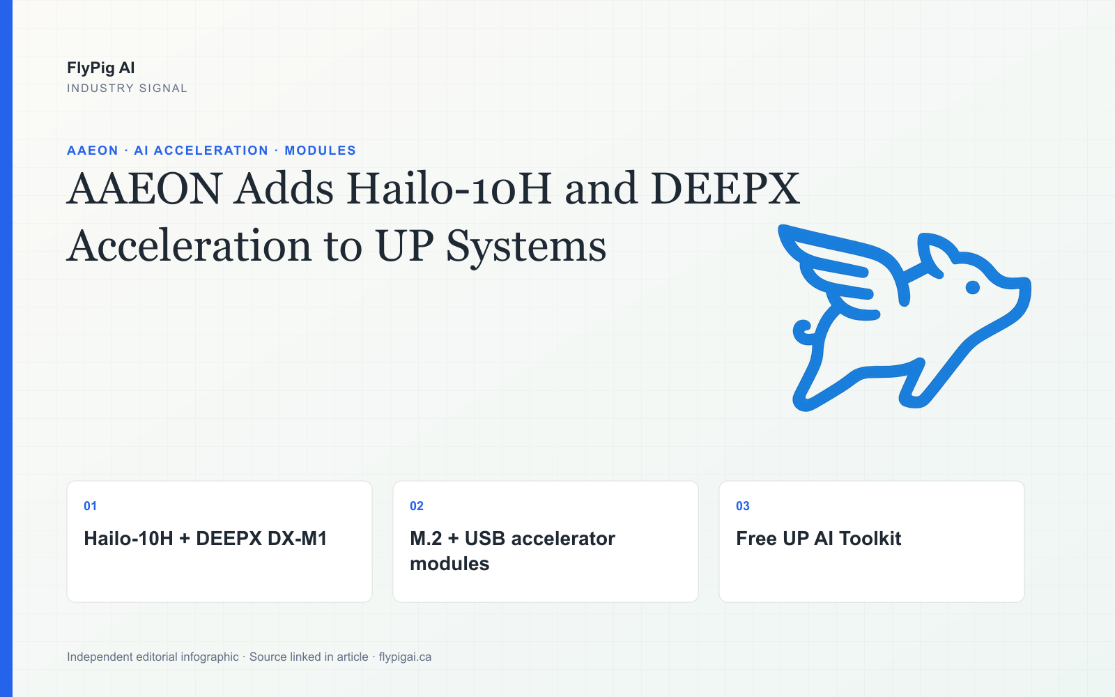 FlyPig AI infographic on AAEON UP AI acceleration, highlighting Hailo-10H, DEEPX DX-M1, M.2 and USB modules and the UP AI Toolkit.