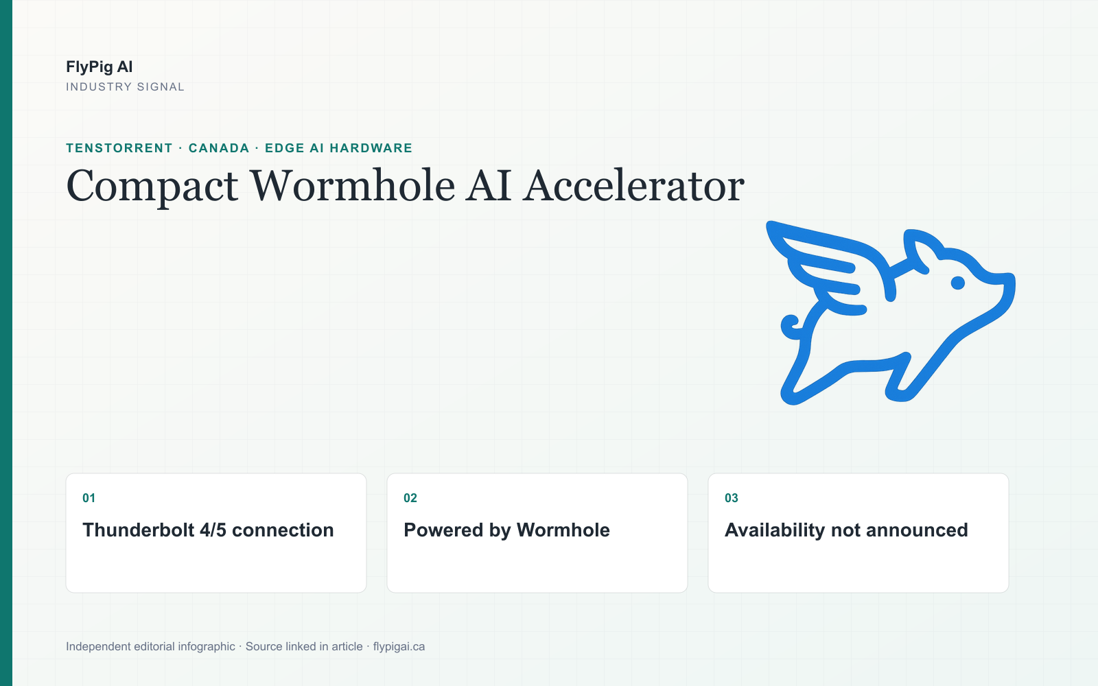 FlyPig AI editorial infographic showing a compact Wormhole accelerator, Thunderbolt host connection, multi-unit scaling and unresolved availability.